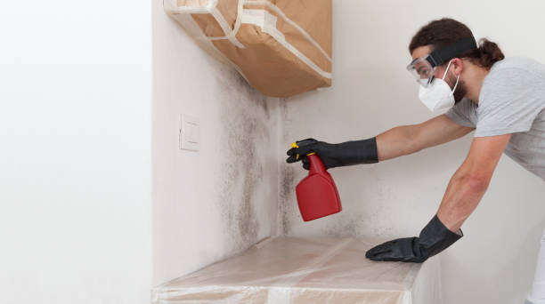 Professional Mold Removal technician working in Pequannock, NJ